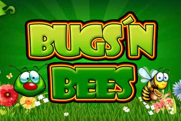 Bugs Bees